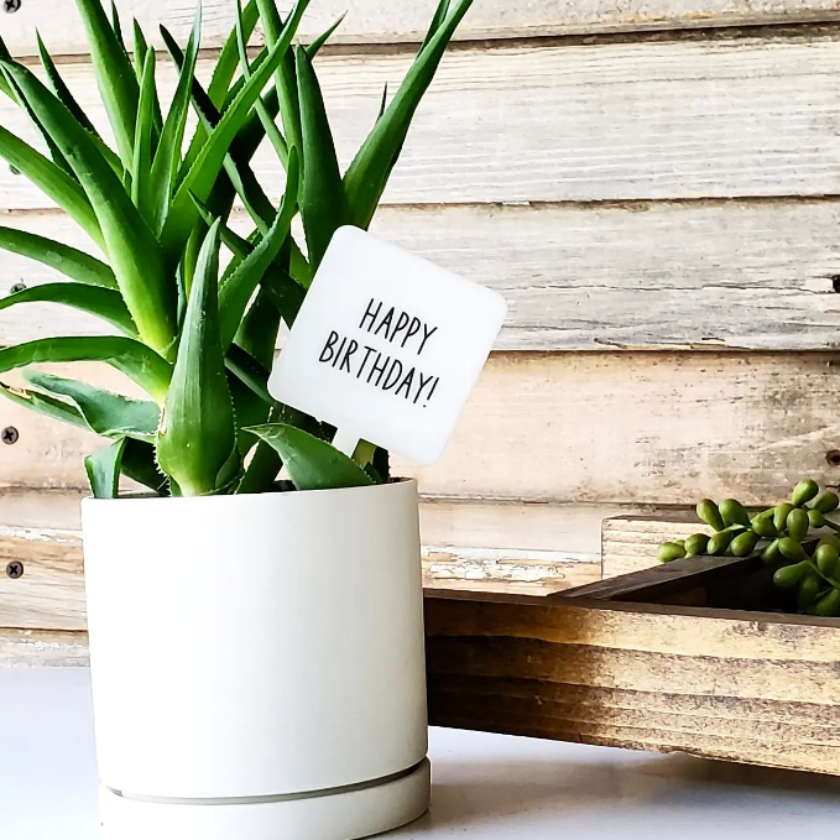 Happy Birthday - Snarky Plant Marker Stake