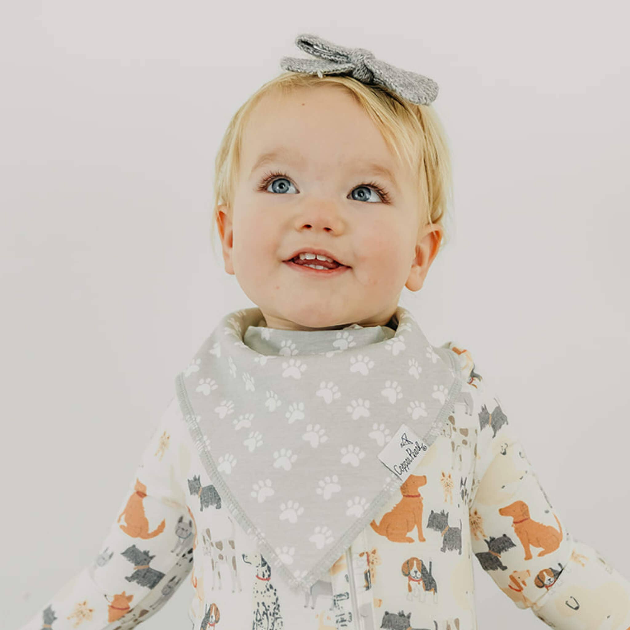 Copper Pearl - 4 Pack Baby Bandana Bibs - Rufus