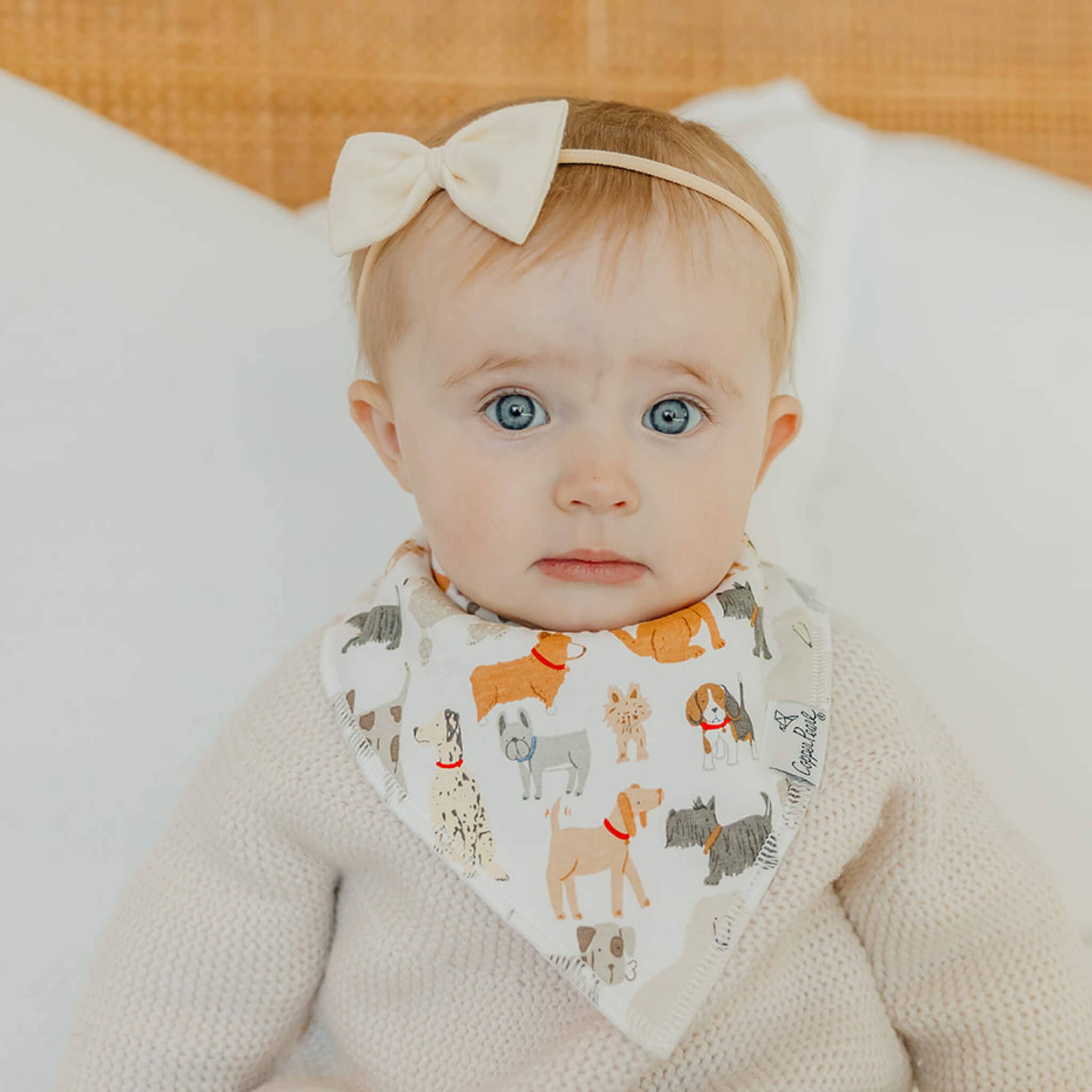 Copper Pearl - 4 Pack Baby Bandana Bibs - Rufus
