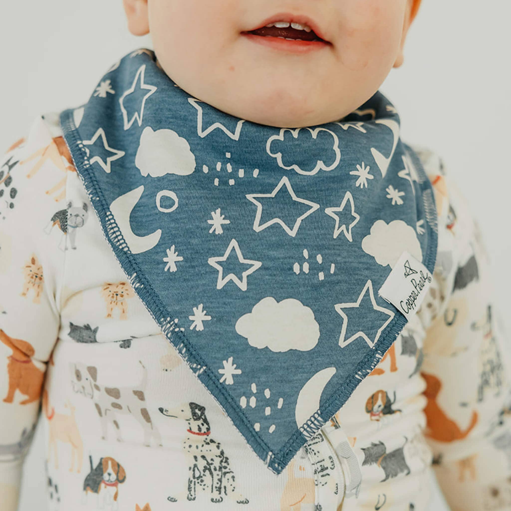 Copper Pearl - 4 Pack Baby Bandana Bibs - Rufus