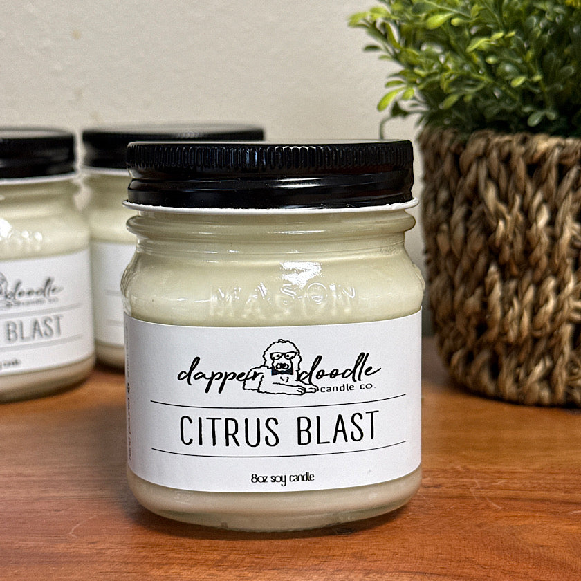 Dapper Doodle Candles - Summer Scents