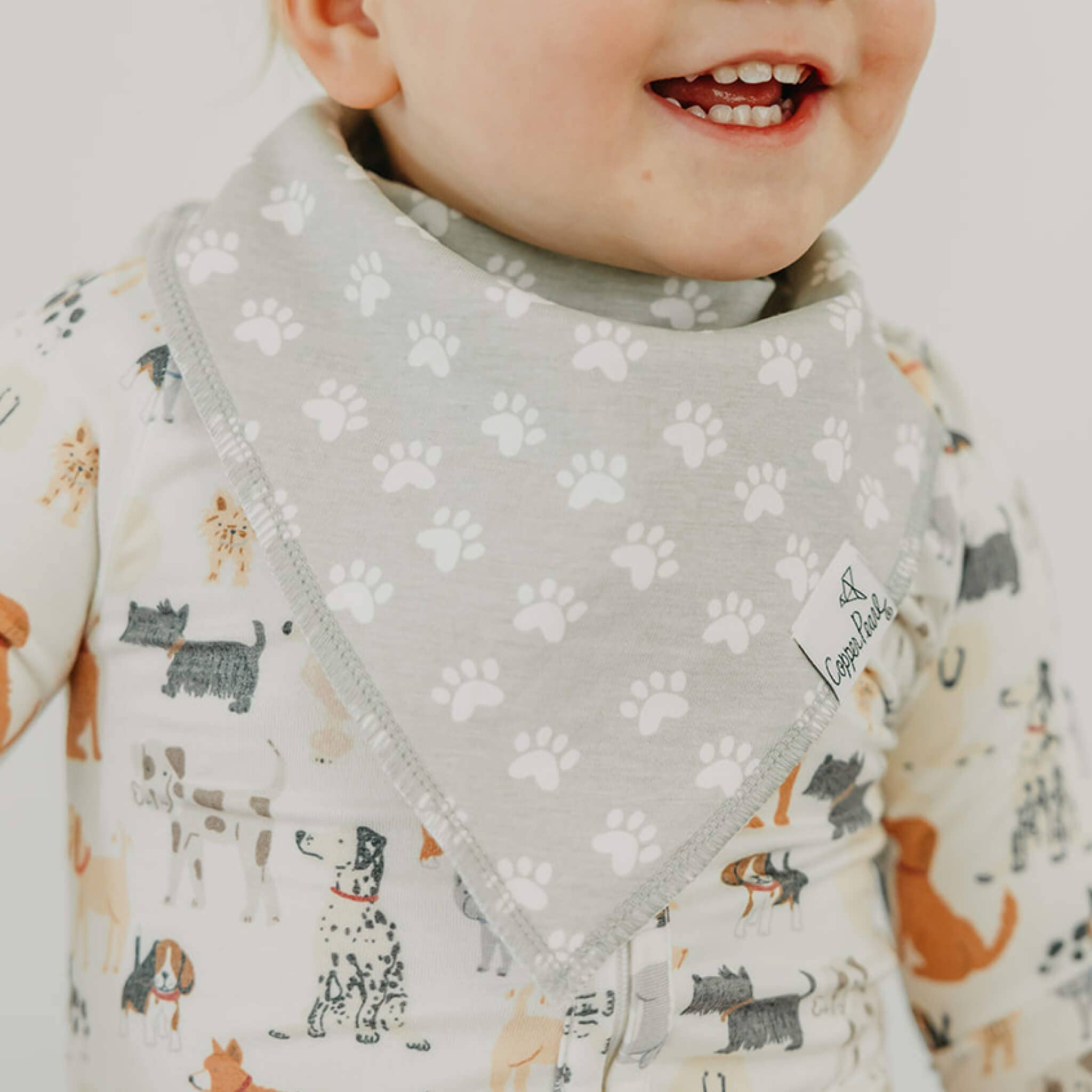Copper Pearl - 4 Pack Baby Bandana Bibs - Rufus