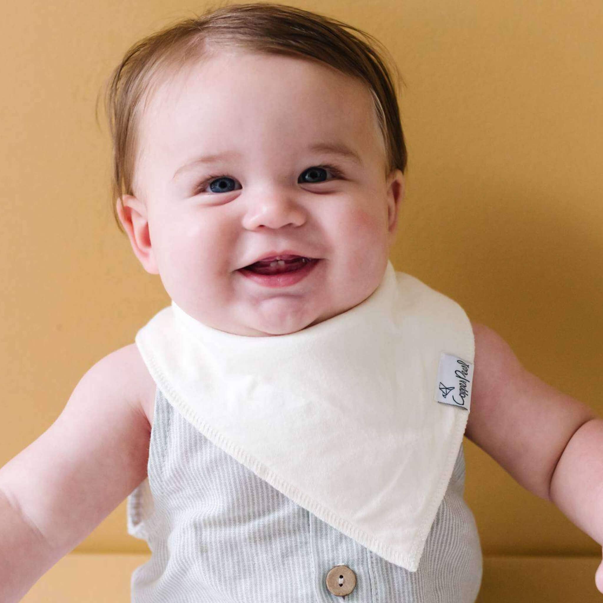 Copper Pearl - 4 Pack Baby Bandana Bibs - Stone