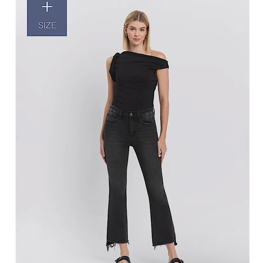 Vervet Righteousness Denim-Curvy 28"