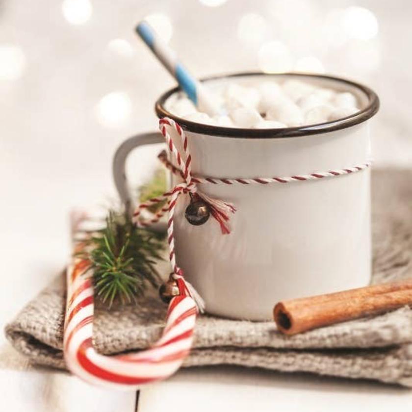 Cozy Cocoa Festive Gift Set - 140g Double Truffle