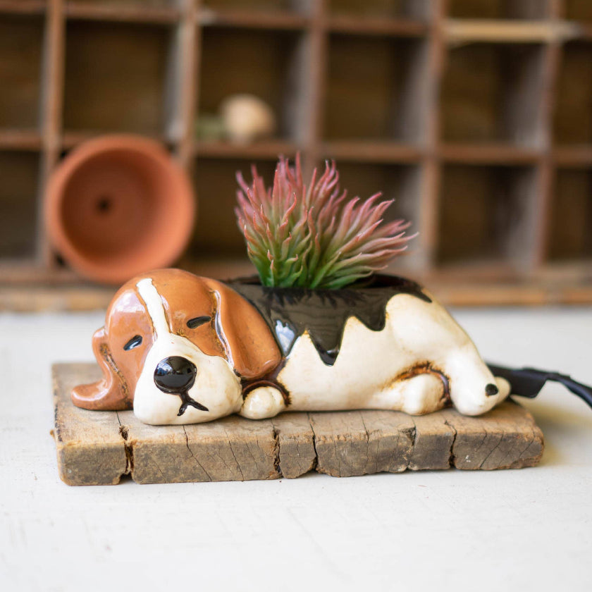 Decorative planter shaped like a dog with a succulent on a wooden block.