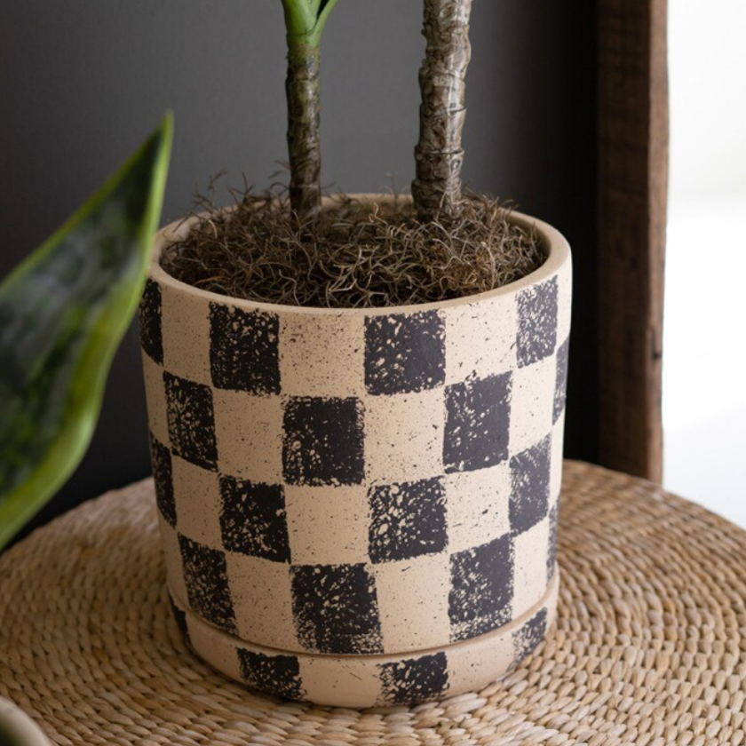 A potted houseplant with two upright stems in a beige ceramic pot with a black checkerboard pattern, placed on a woven round mat against a dark gray background.