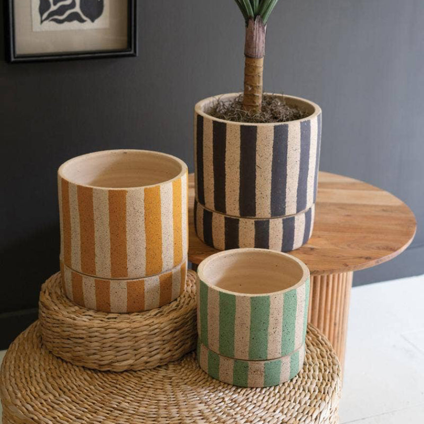 Decorative striped planters on a textured surface with a dark wall and framed artwork in the background.