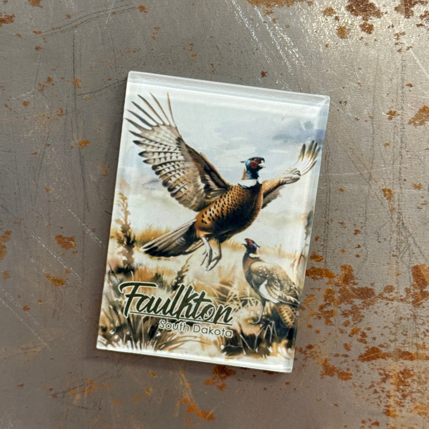 Faulkton Magnets | Glass