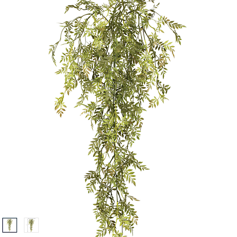 WISTERIA MINI VINE