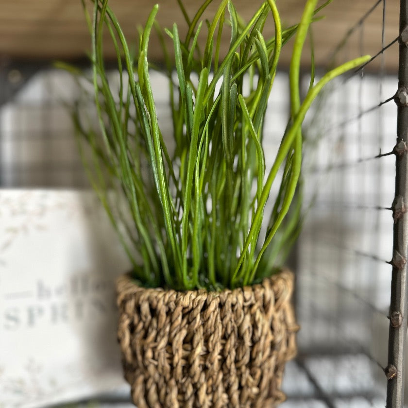 WOVEN FOLIAGE PLANT