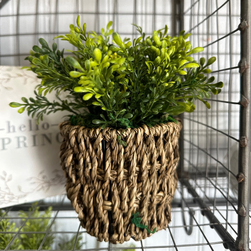 WOVEN FOLIAGE PLANT