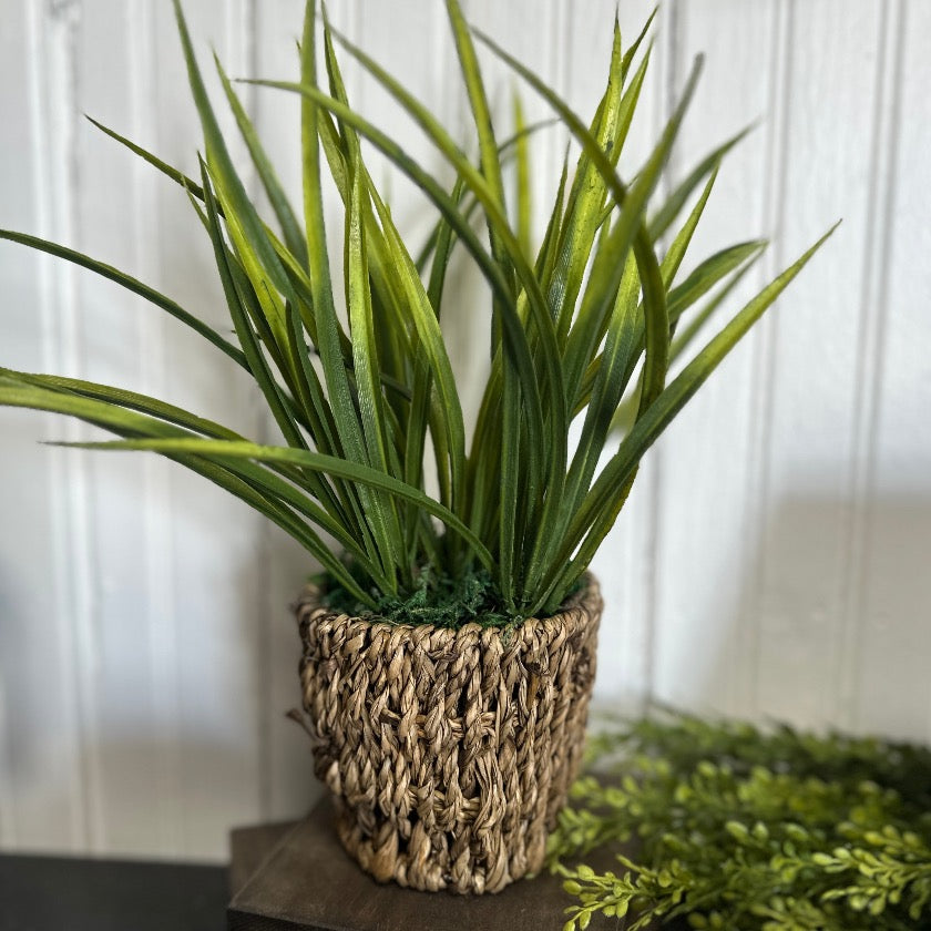 WOVEN FOLIAGE PLANT