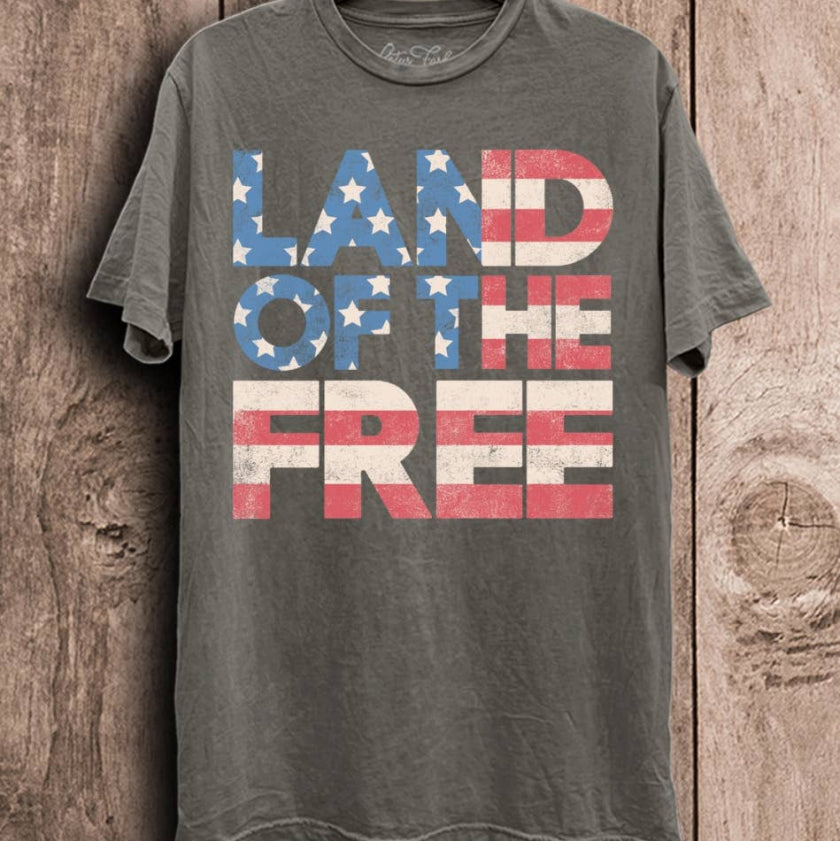 Land of the Free Graphic Top