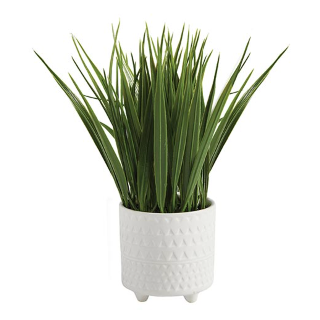 Grass in Pot