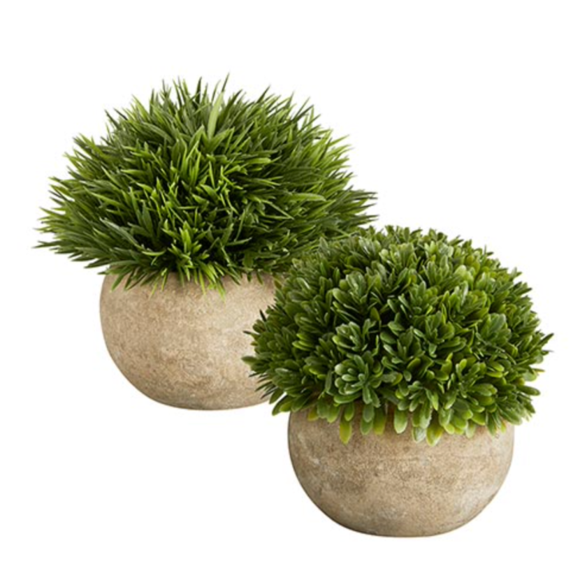 Dark Grass in Pot