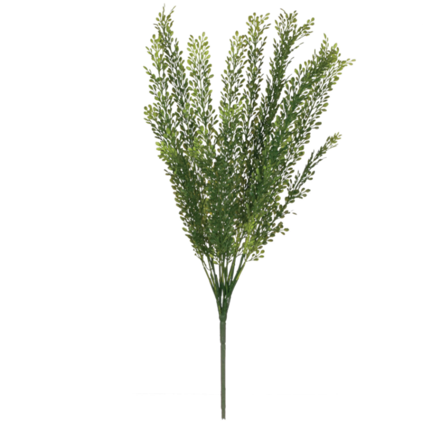 SEED GRASS SPRAY