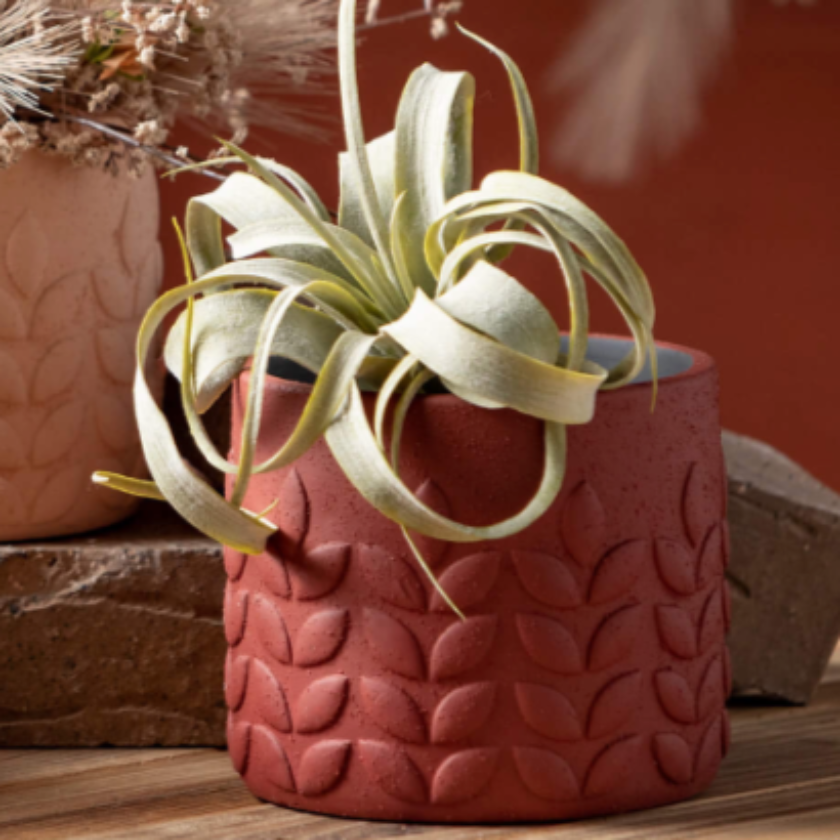 MODERN LEAF DESERT TONED POT