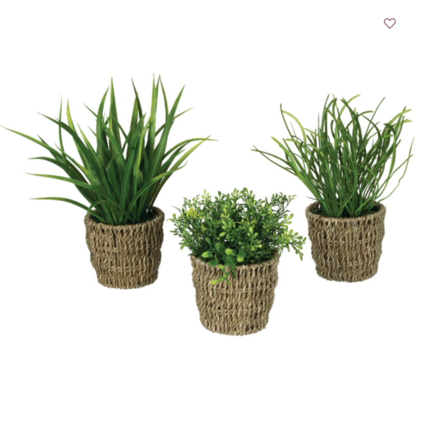 WOVEN FOLIAGE PLANT
