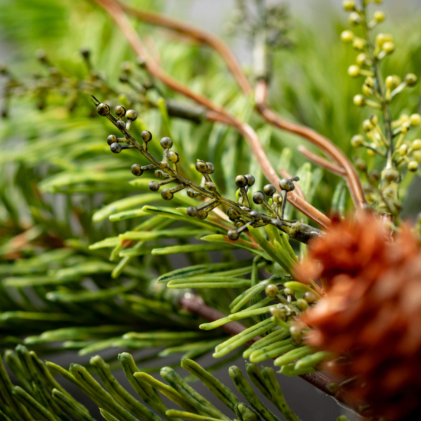 SOFT TOUCH PINE SPRAY