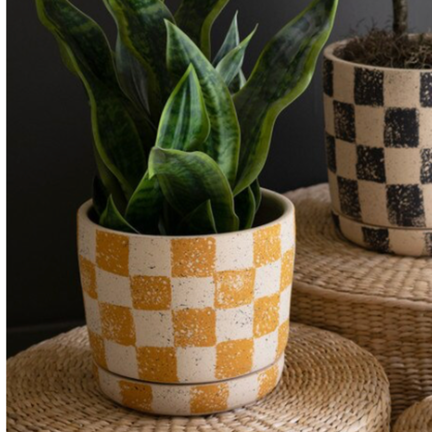 Three checkered ceramic plant pots in yellow, black-and-beige, and mint green, displayed on woven round planters against a dark gray wall.
