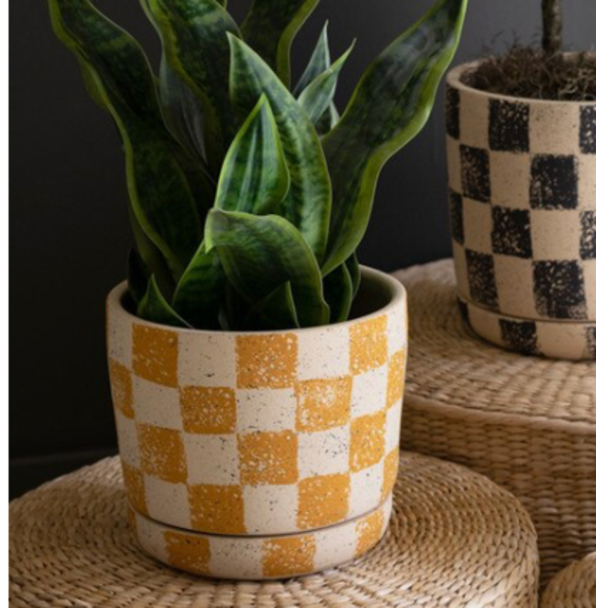 Three checkered ceramic plant pots in yellow, black-and-beige, and mint green, displayed on woven round planters against a dark gray wall.