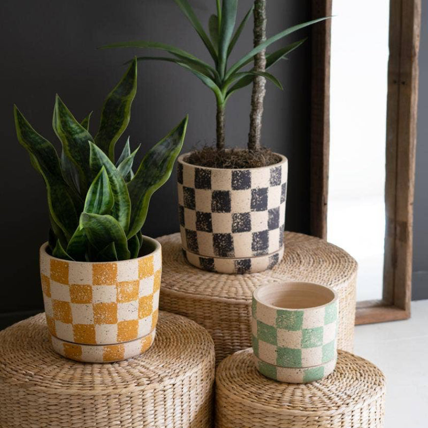 Three potted plants on woven stools with a checkered pattern