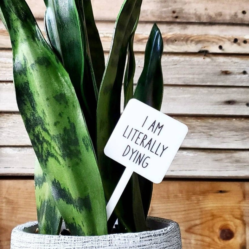 Snarky Plant Marker Stake - I'm Literally Dying - Mad River
