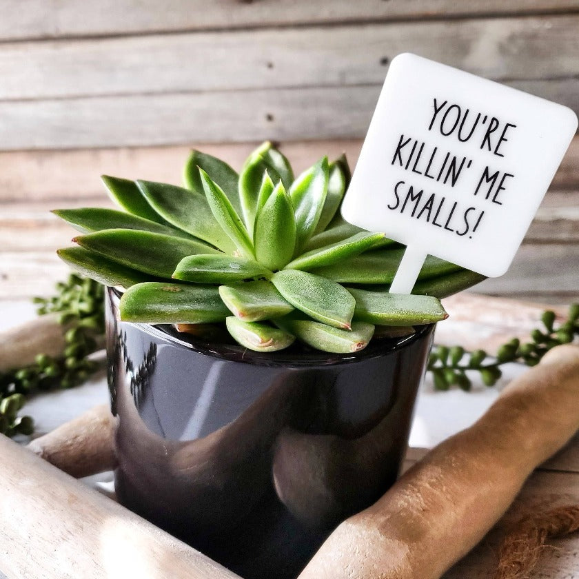 Snarky Plant Marker Stake - You're killin' me - Mad River