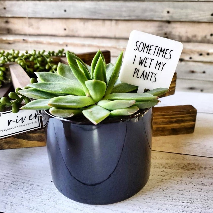 Snarky Plant Marker Stake -  Sometimes I Wet my Plants - Mad River
