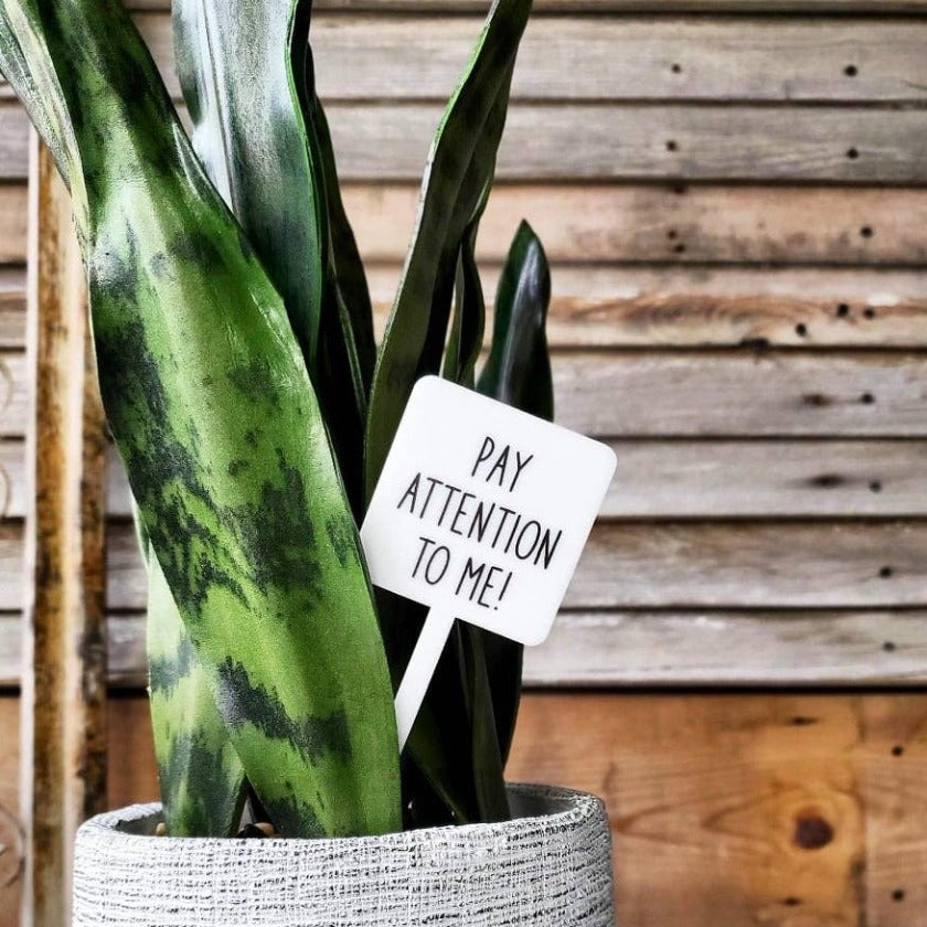 Snarky Plant Marker Stake - Pay Attention To Me - Mad River