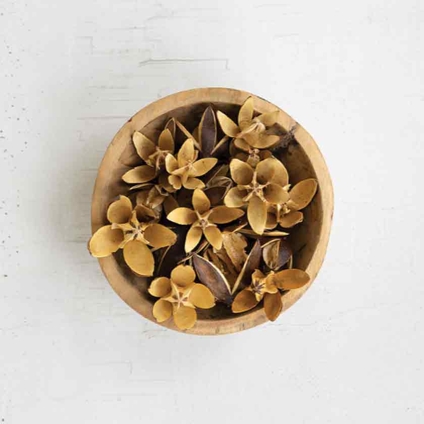DRIED LILY FLOWER POTS, BAG OF 20 - KALALOU
