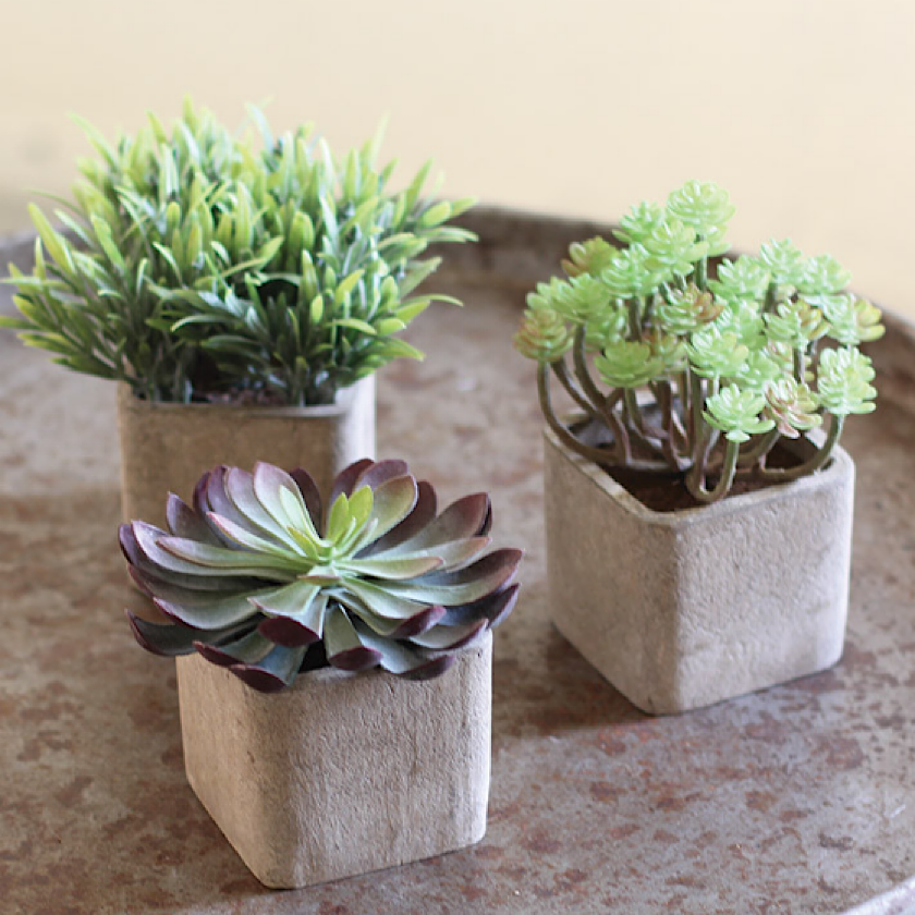 Small Artificial Succulent in Square Pot