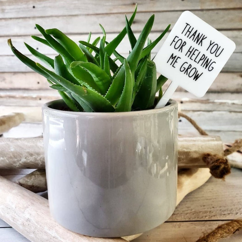 Snarky Plant Marker Stake - Thank you for helping me grow - Mad River