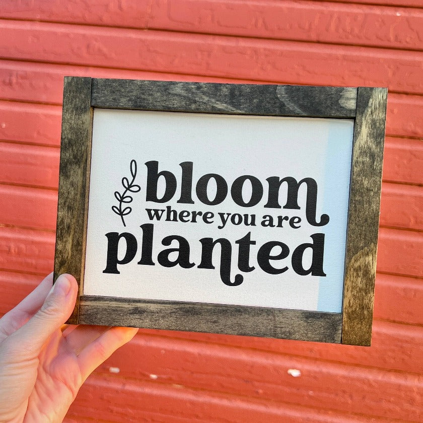 Bloom Where You Are Planted