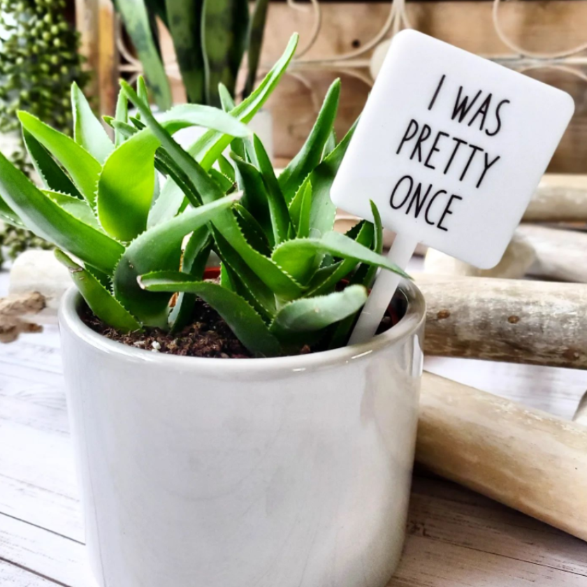Snarky Plant Marker Stake - I Was Pretty Once - Mad River