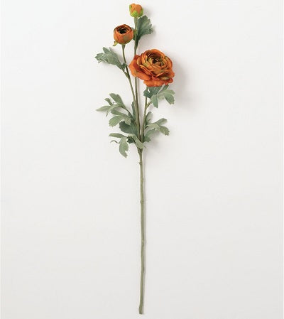 RANUNCULUS STEM - SULLIVANS